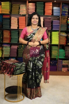 Pochampally Sico Sarees - VOL1