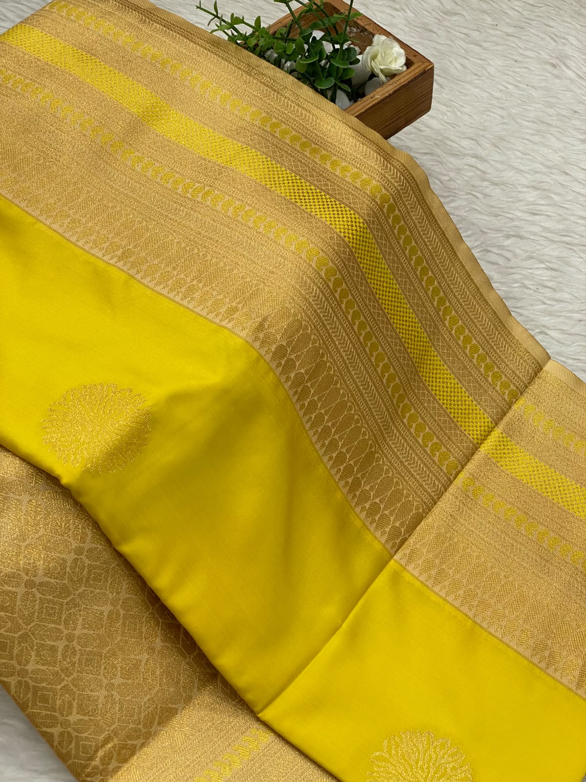 Premium kanchi Soft Silk Saree-vol3