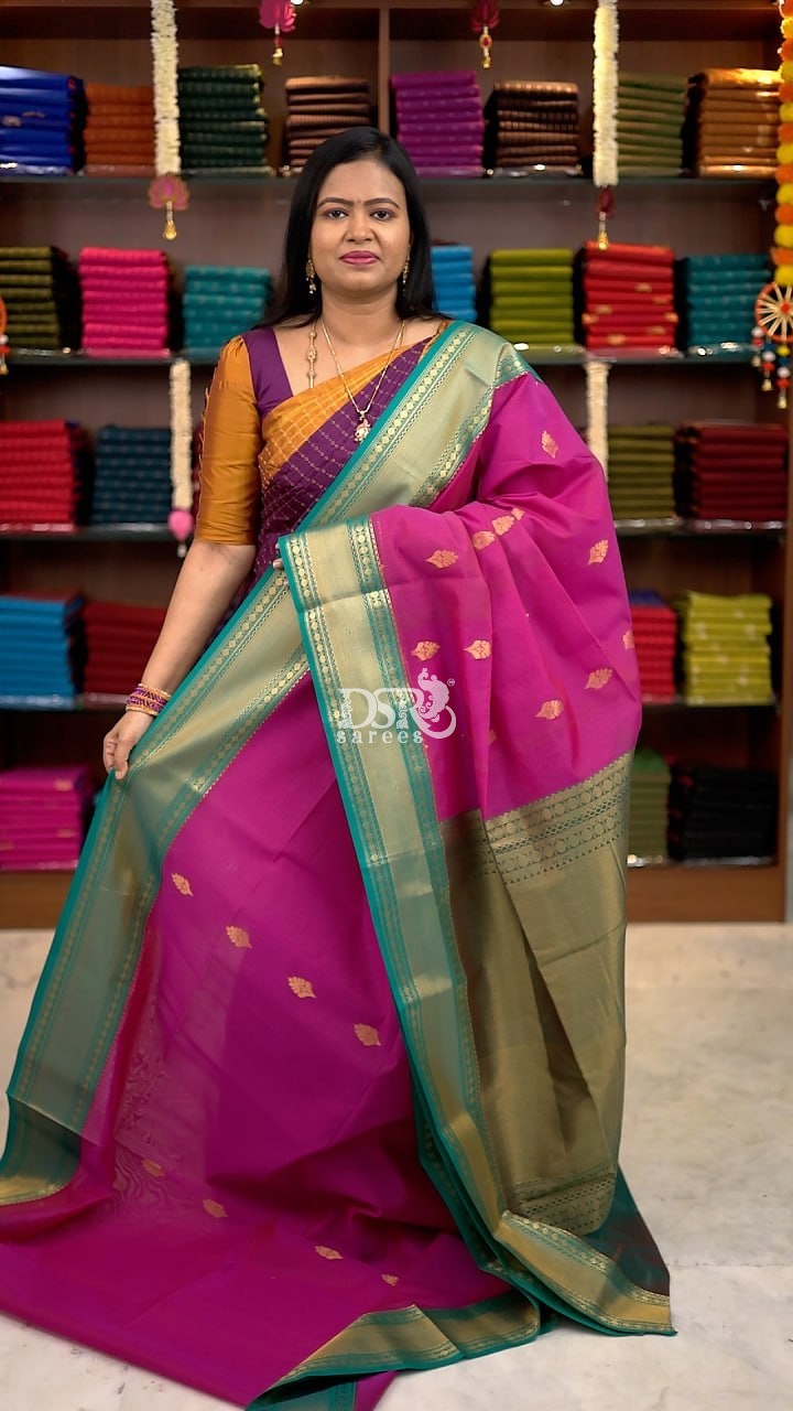 Premium Kanchi  Korvai Border Saree