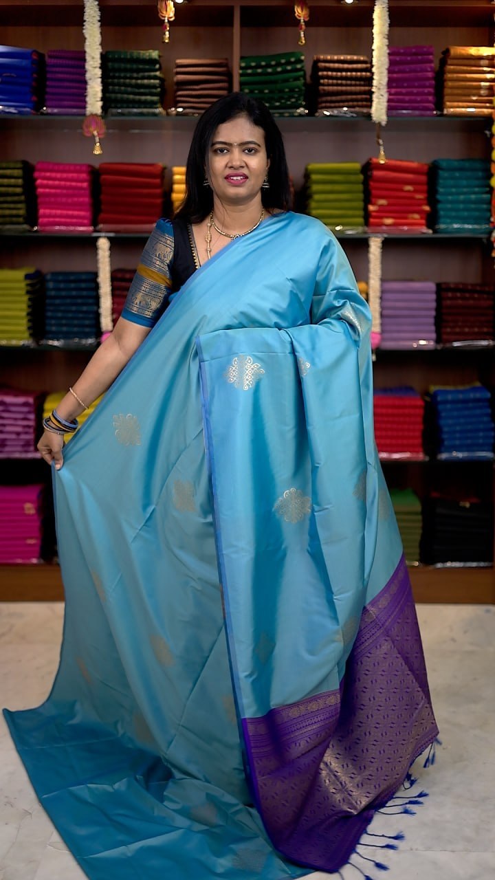 Borderless Soft Silk Saree - vol1