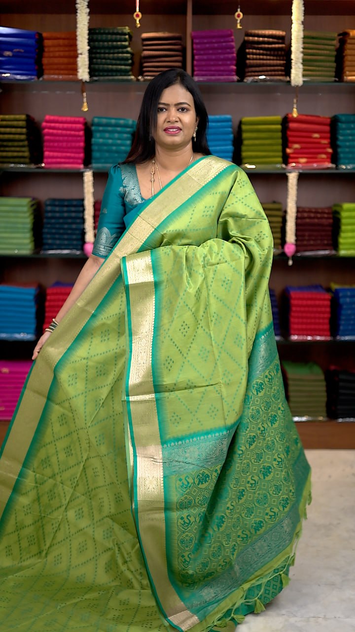 Raw Silk Patola Sarees