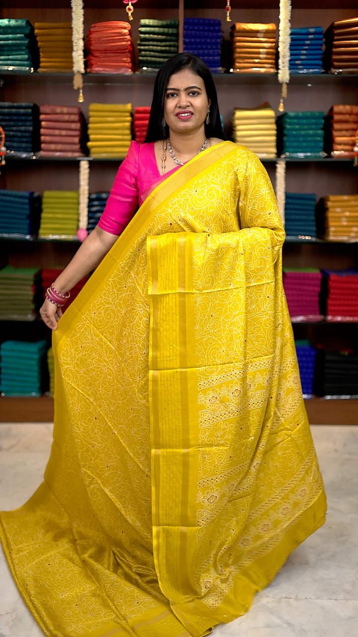 Iconic Border Sequence Sarees