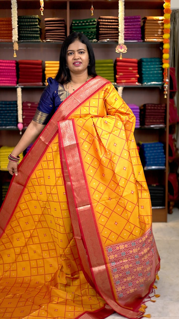 Raw Silk Patola Sarees