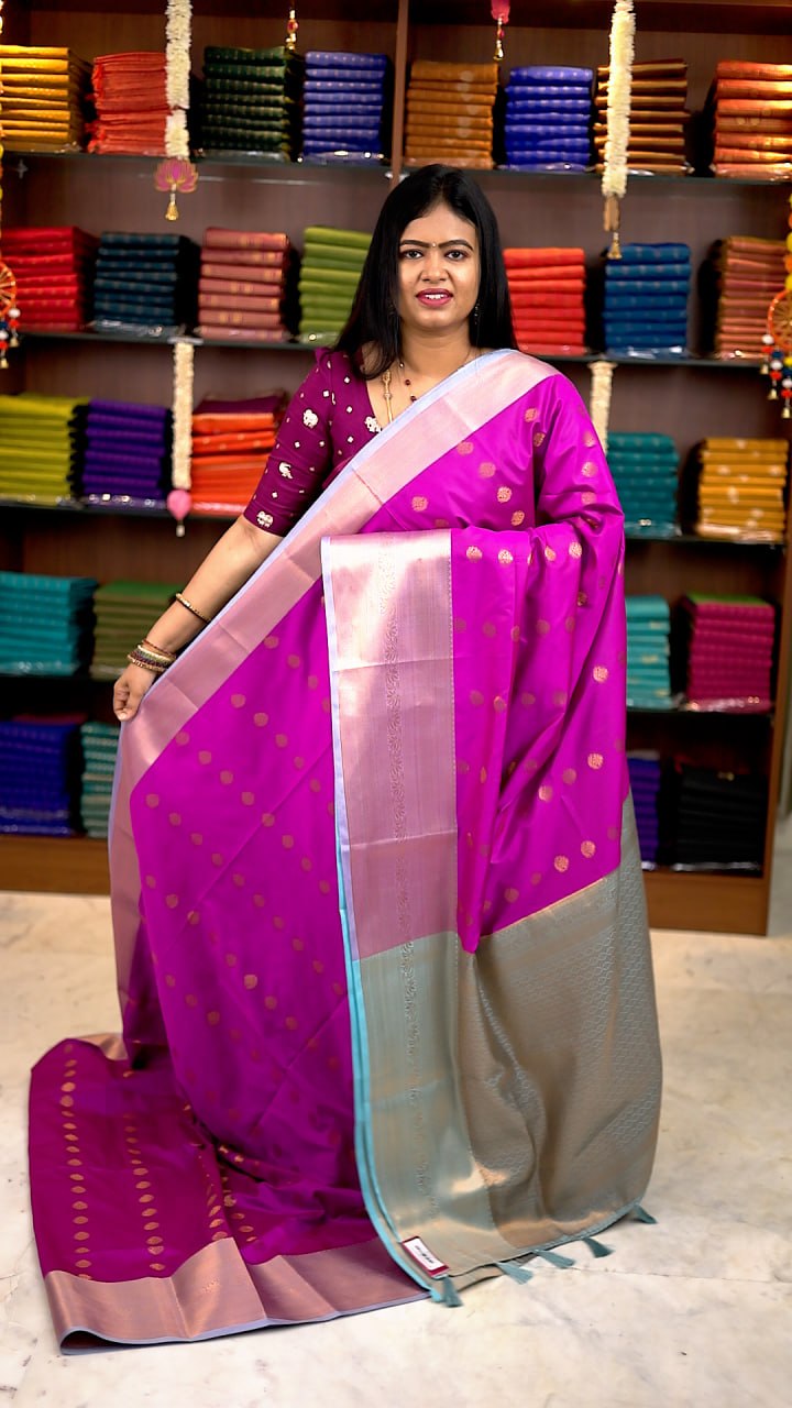 Premium Kanchi Korvai Border Saree-vol3