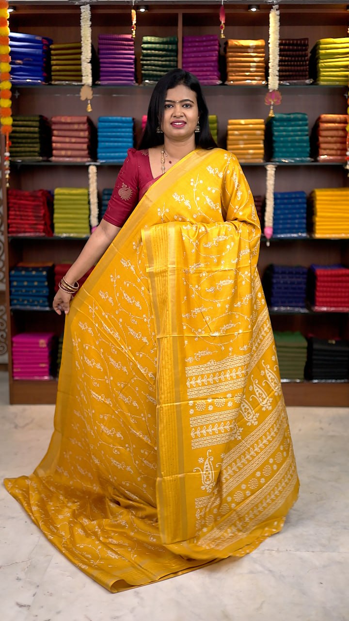 Iconic Border Sequence Sarees