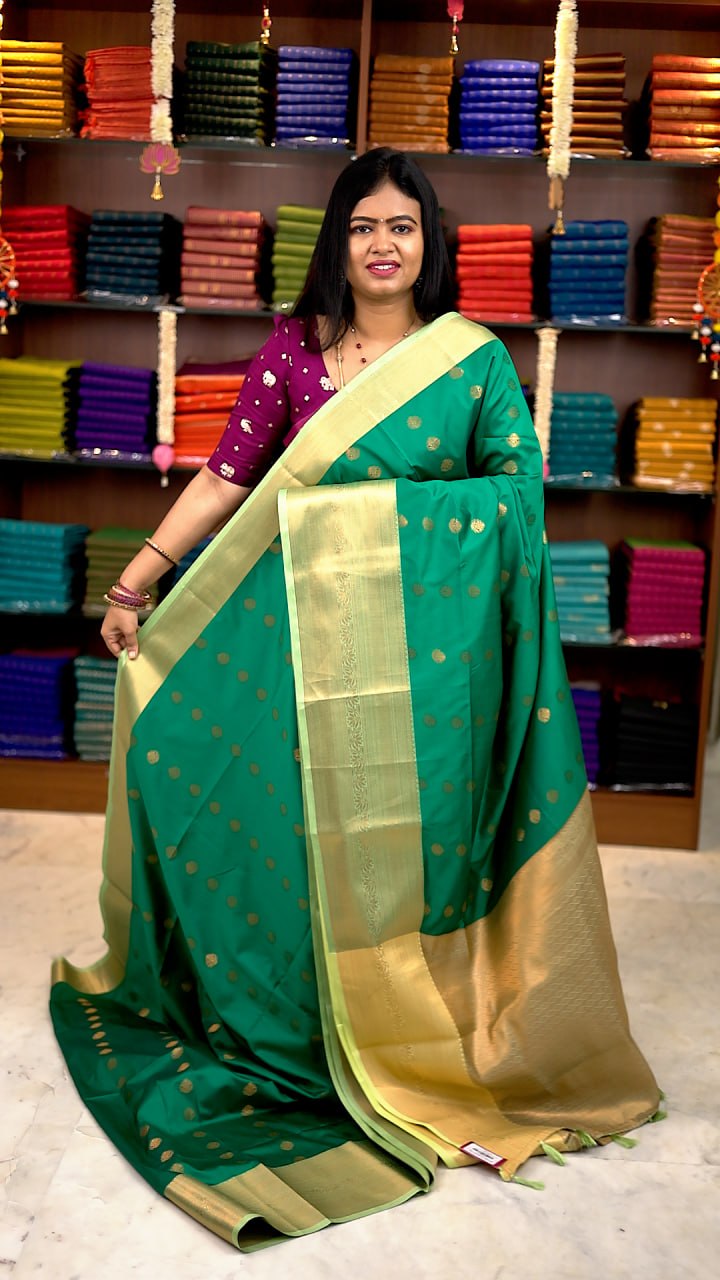 Premium Kanchi Korvai Border Saree-vol3