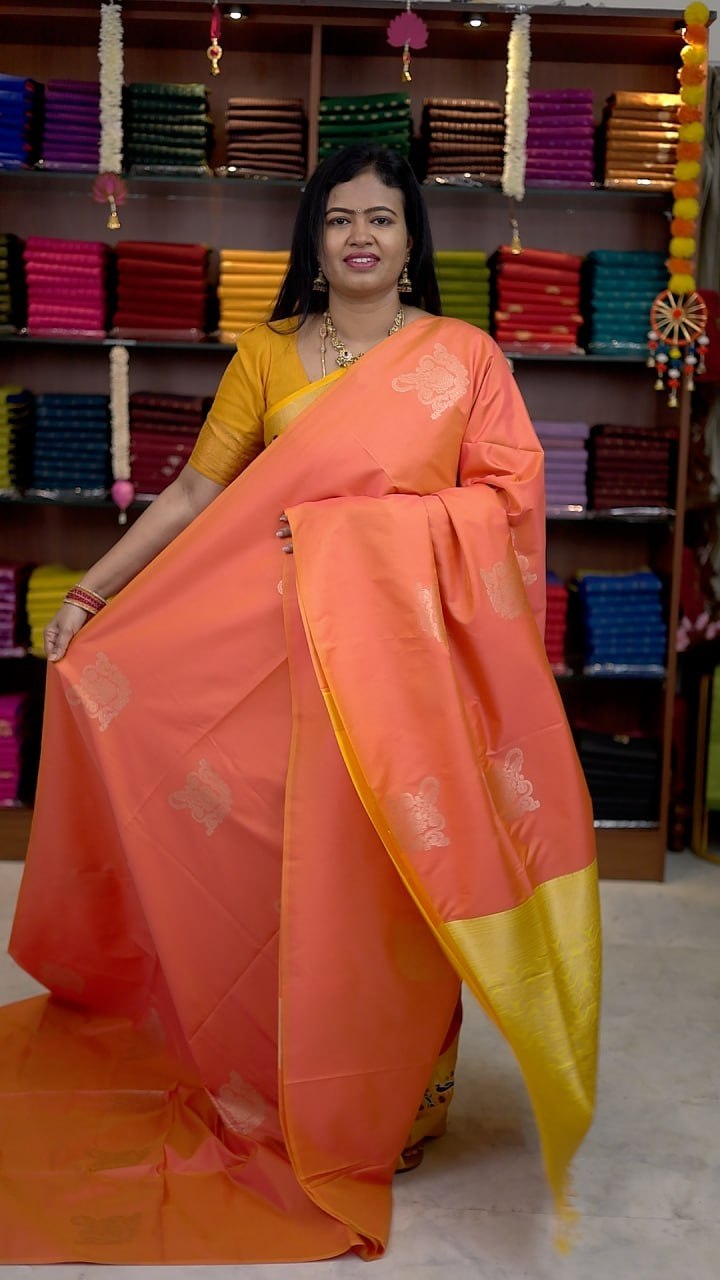 Borderless Soft Silk Saree - vol1