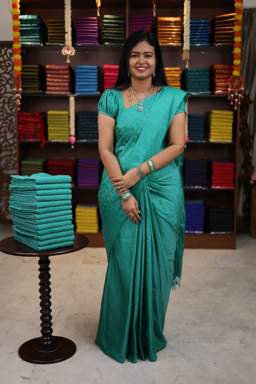 Arani Vairaooshi Bridal Soft Silk Saree