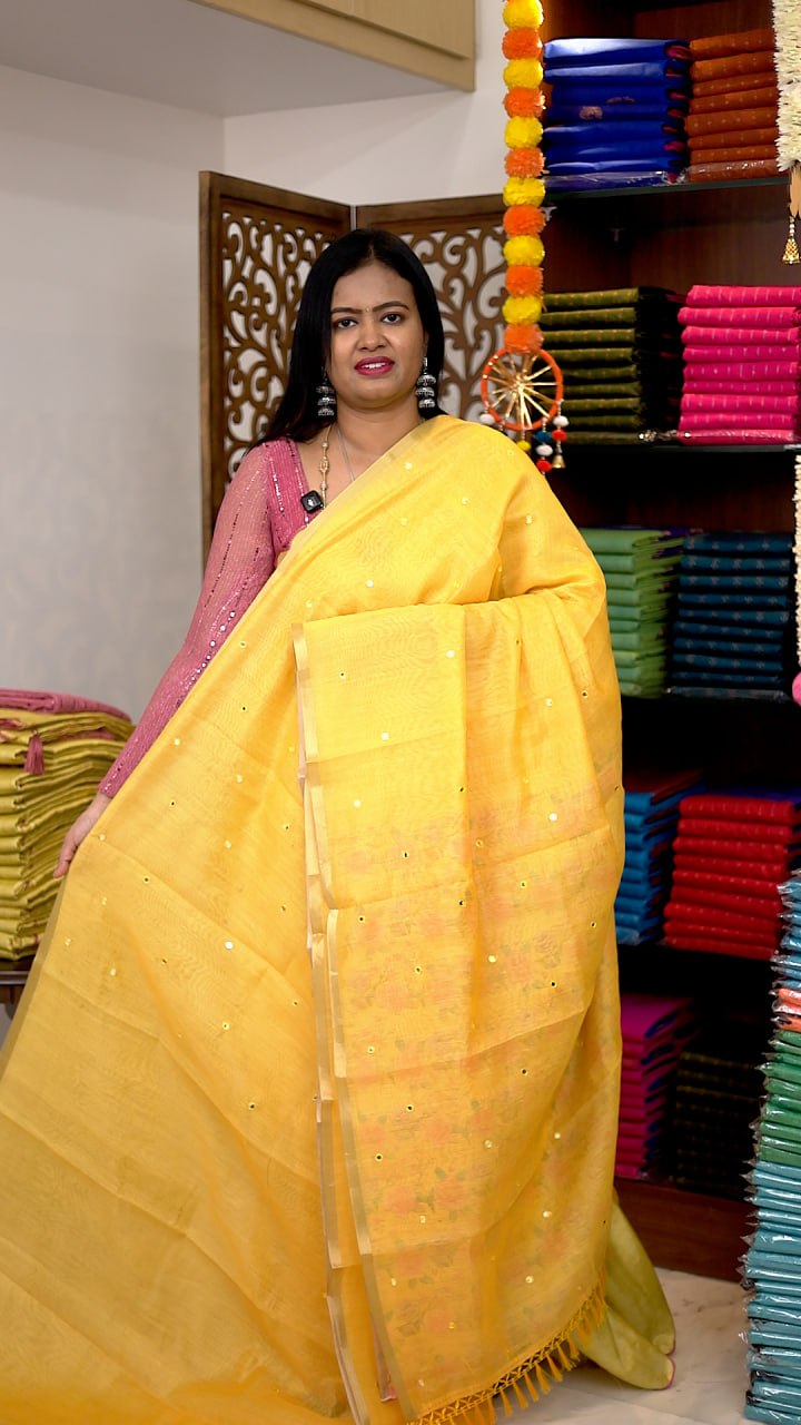 Mirror Work Chanderi Sico Sarees
