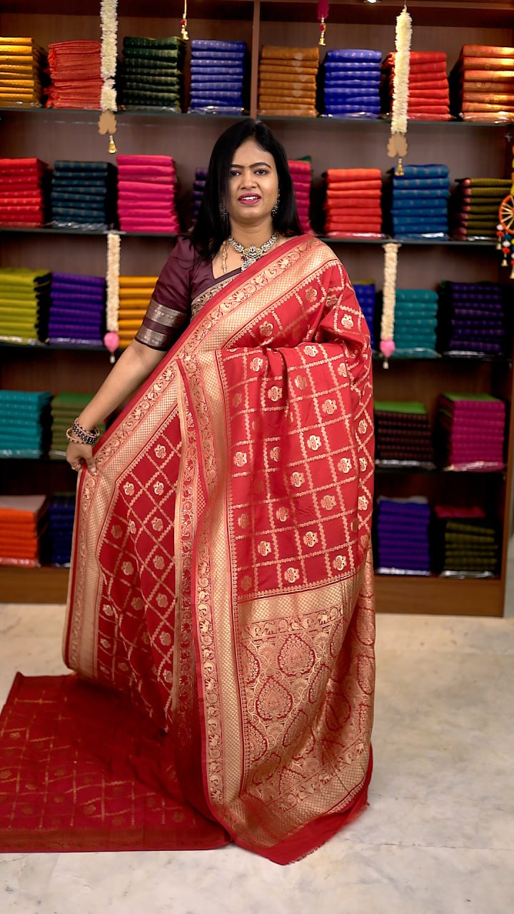 Banarasi Georgette Saree-vol1
