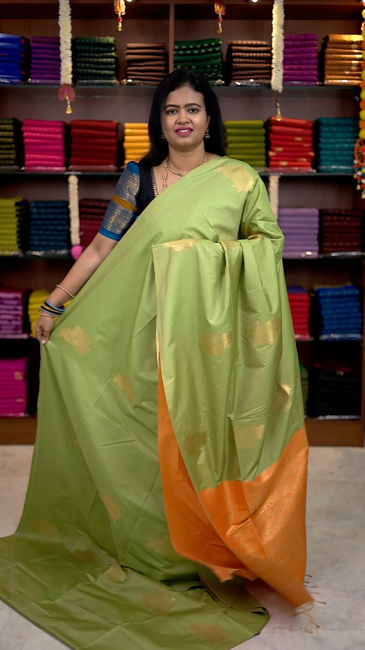Borderless Soft Silk Saree - vol1