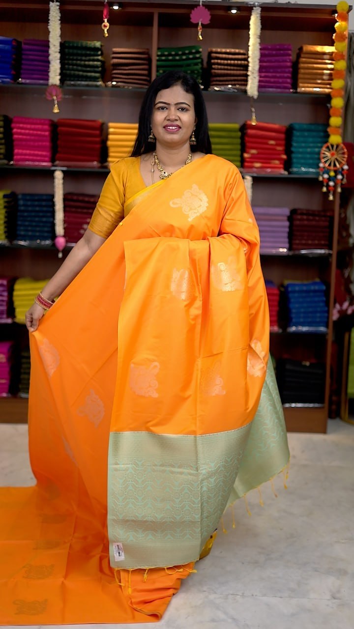 Borderless Soft Silk Saree - vol1