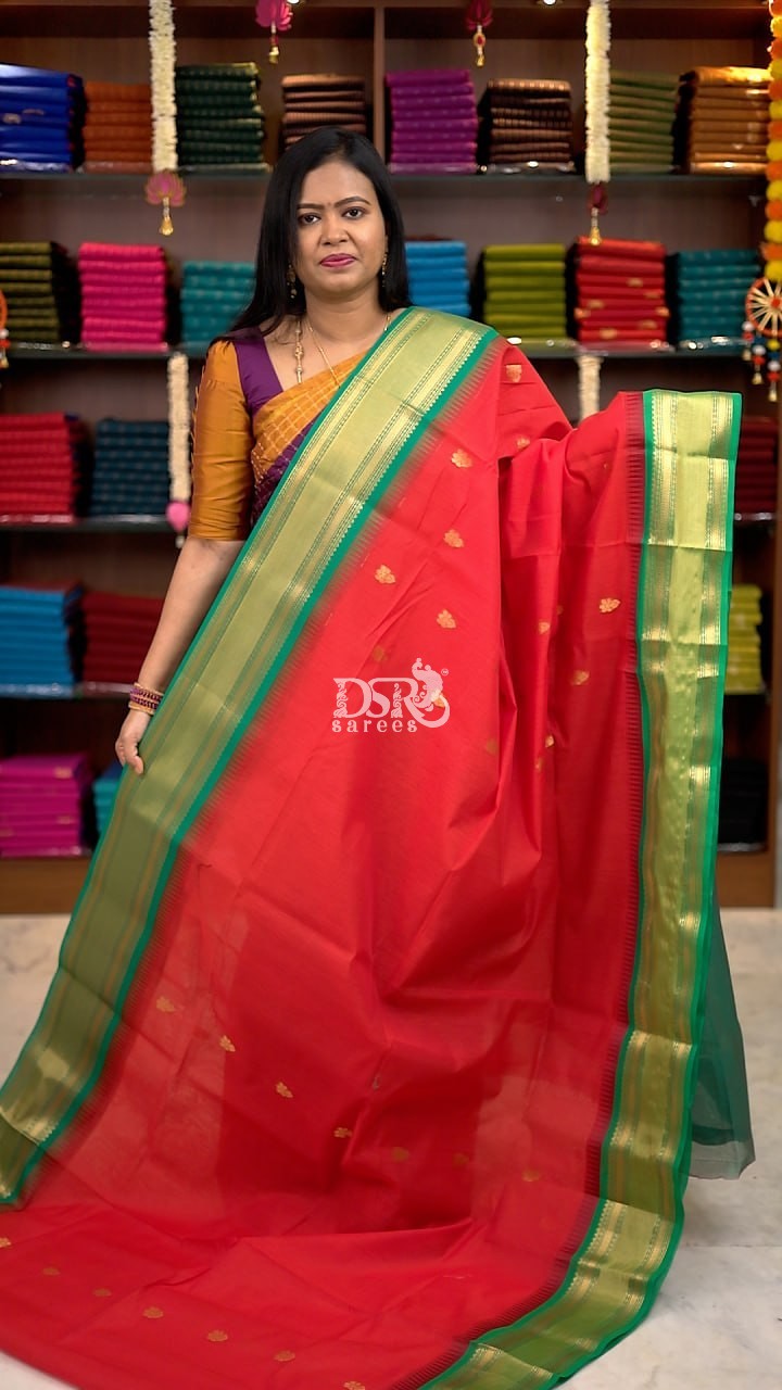 Premium Kanchi  Korvai Border Saree