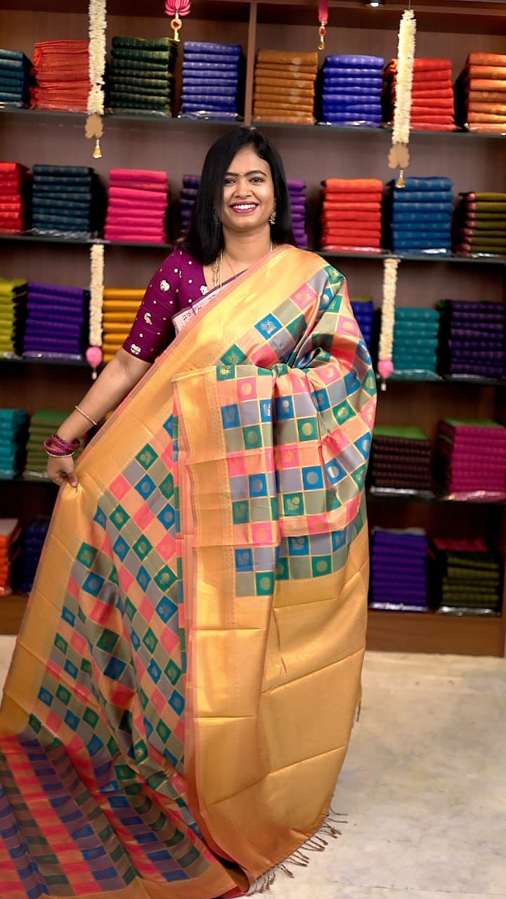 Paalum Pazhamum Silk Saree