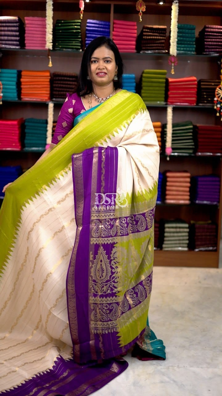 Ganga Jamuna Chiffon Silk Saree