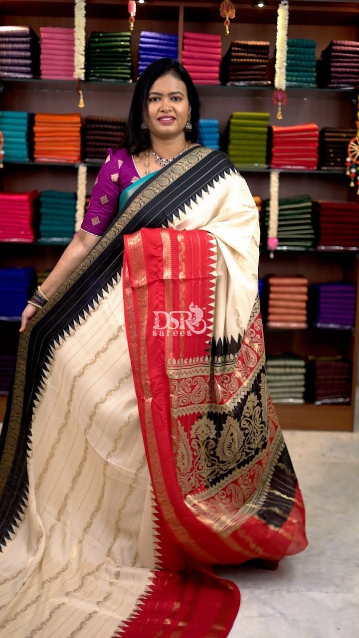 Ganga Jamuna Chiffon Silk Saree