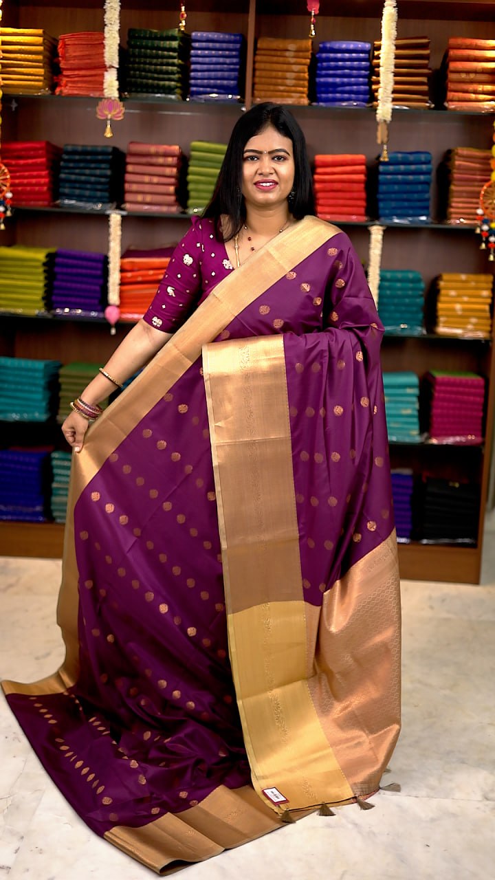 Premium Kanchi Korvai Border Saree-vol3