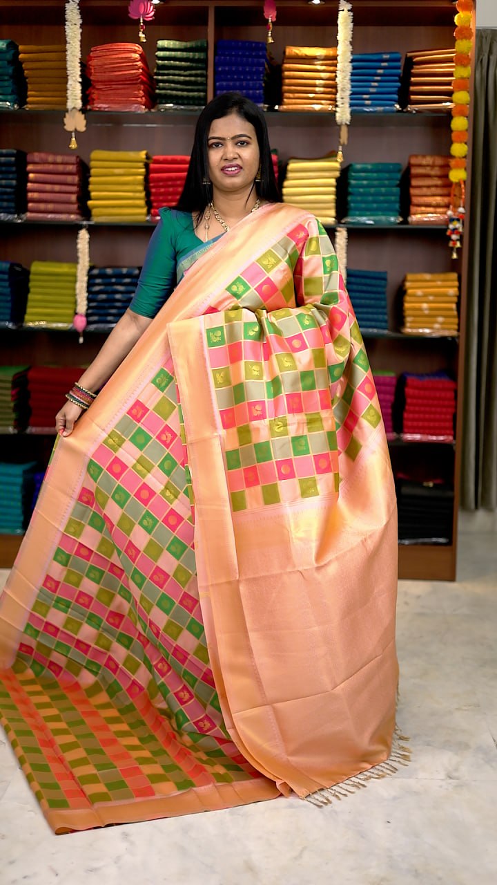Paalum Pazhamum Silk Saree