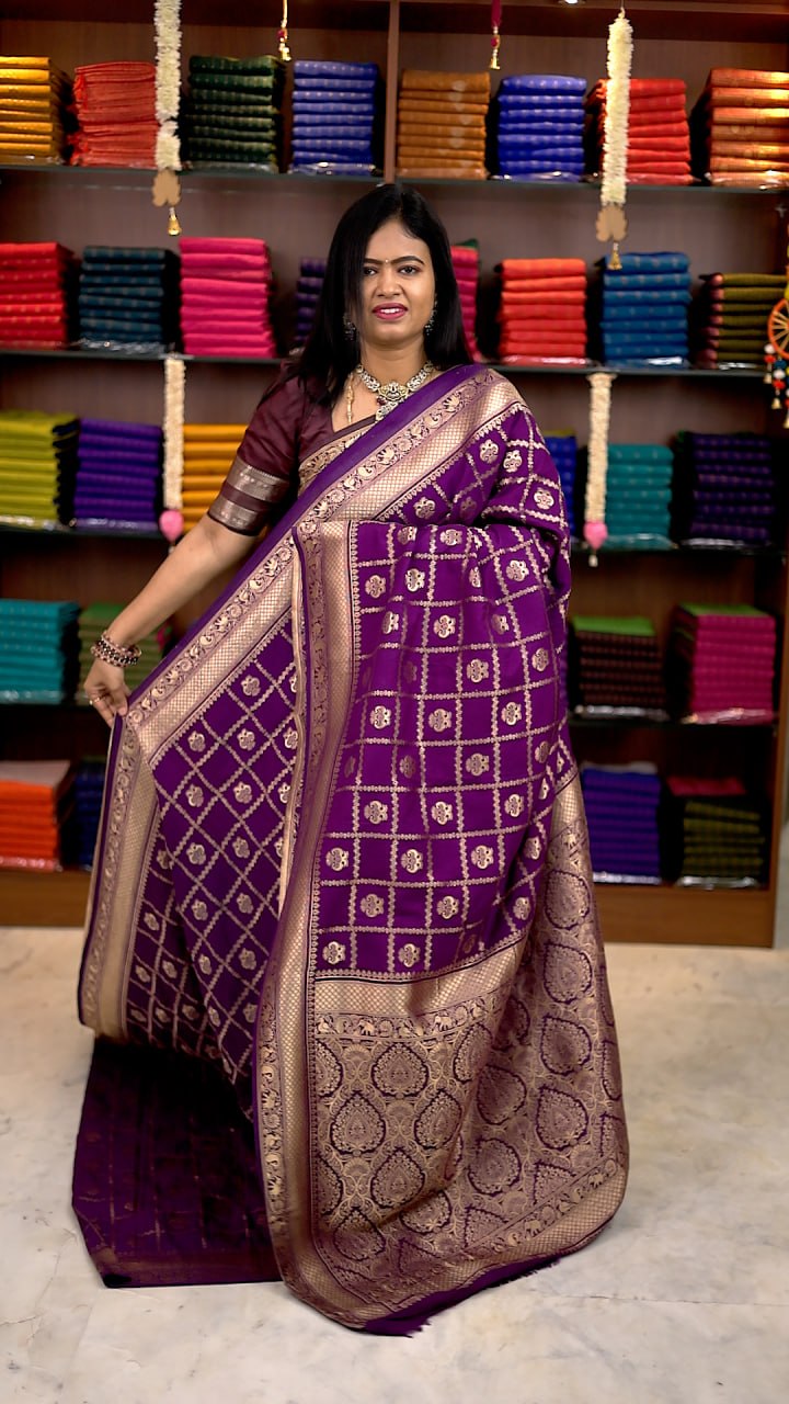 Banarasi Georgette Saree-vol1