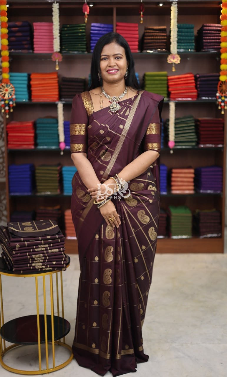 Banarasi Soft Silk Saree-Vol1