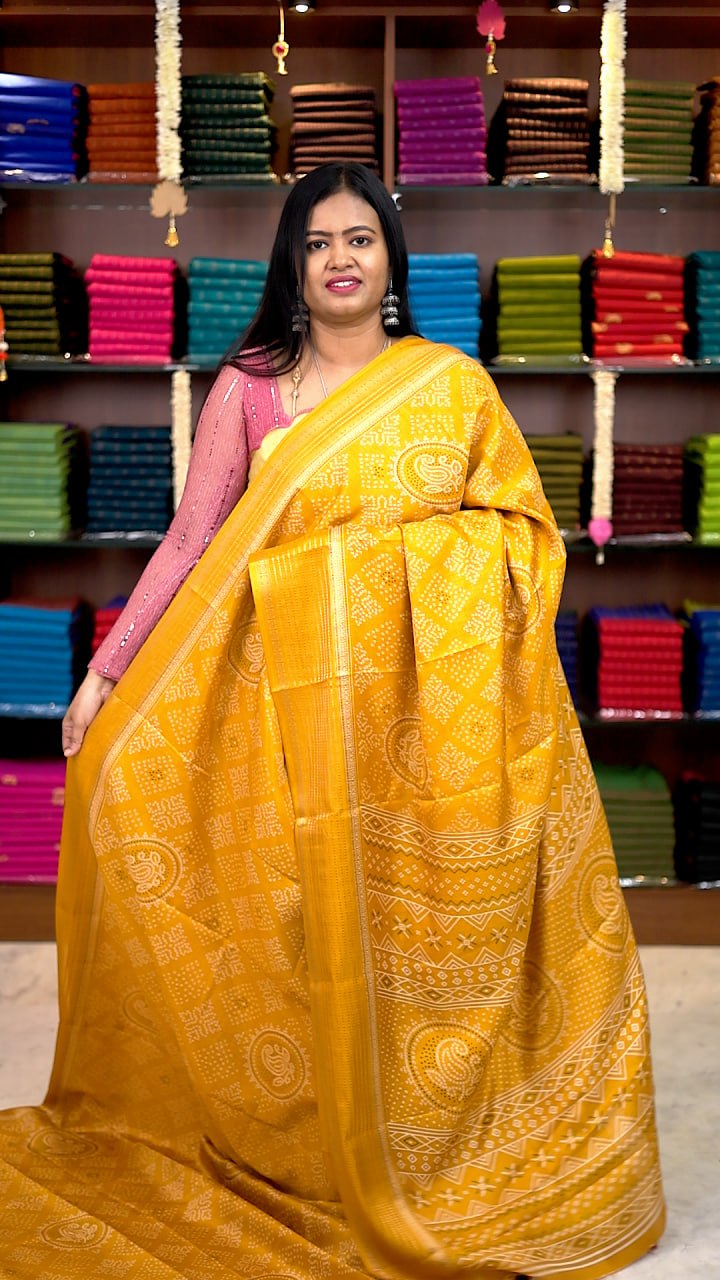 Iconic Silk Sarees