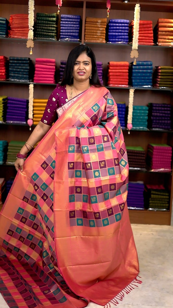 Paalum Pazhamum Silk Saree