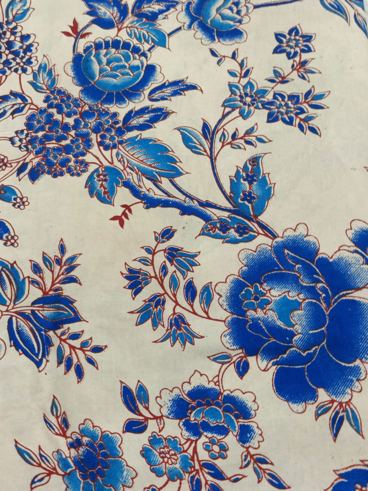 Chennuri Silk Kalamkari Printed 1 mtr cut blouse