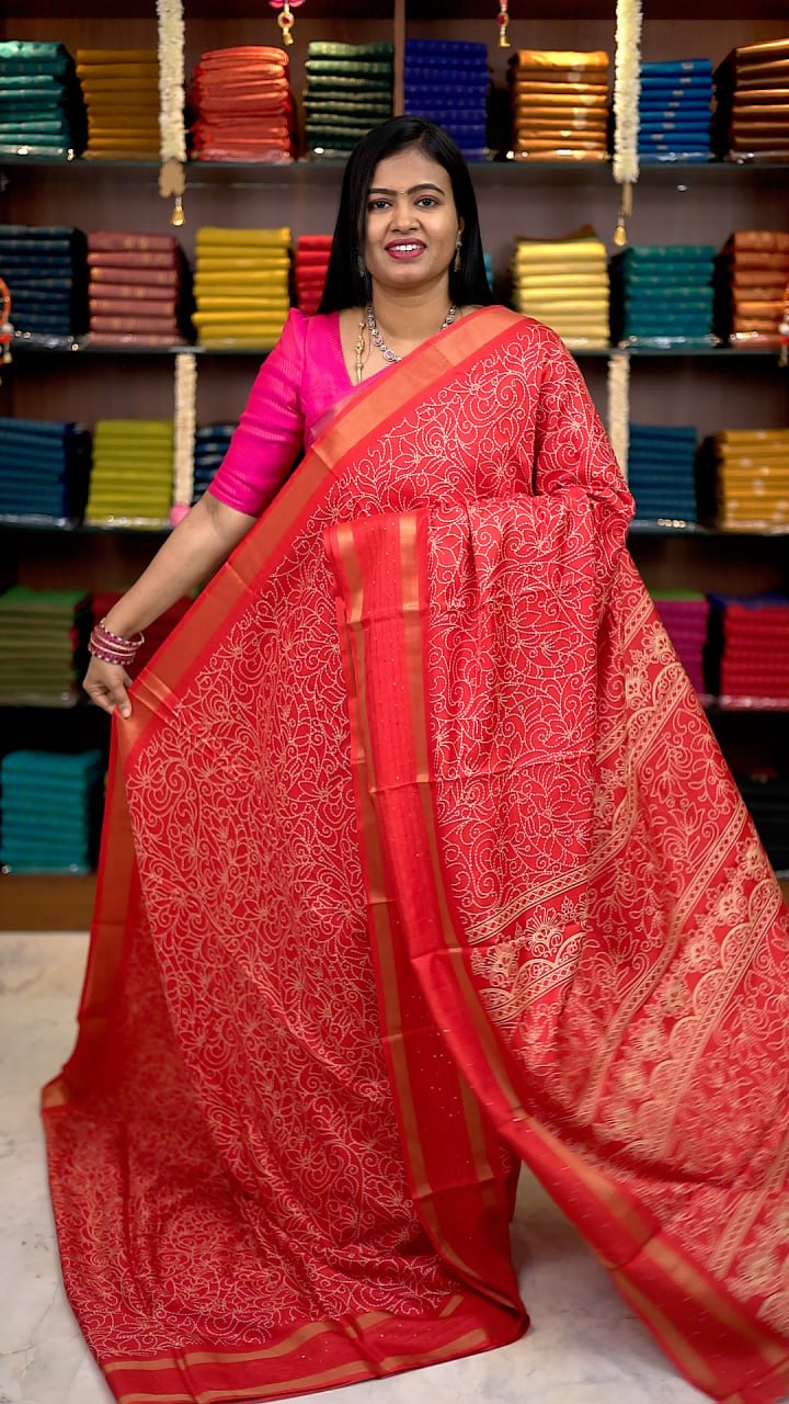 Iconic Border Sequence Sarees