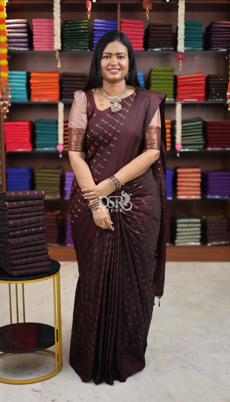 Arani Vairaooshi Bridal Soft Silk Saree