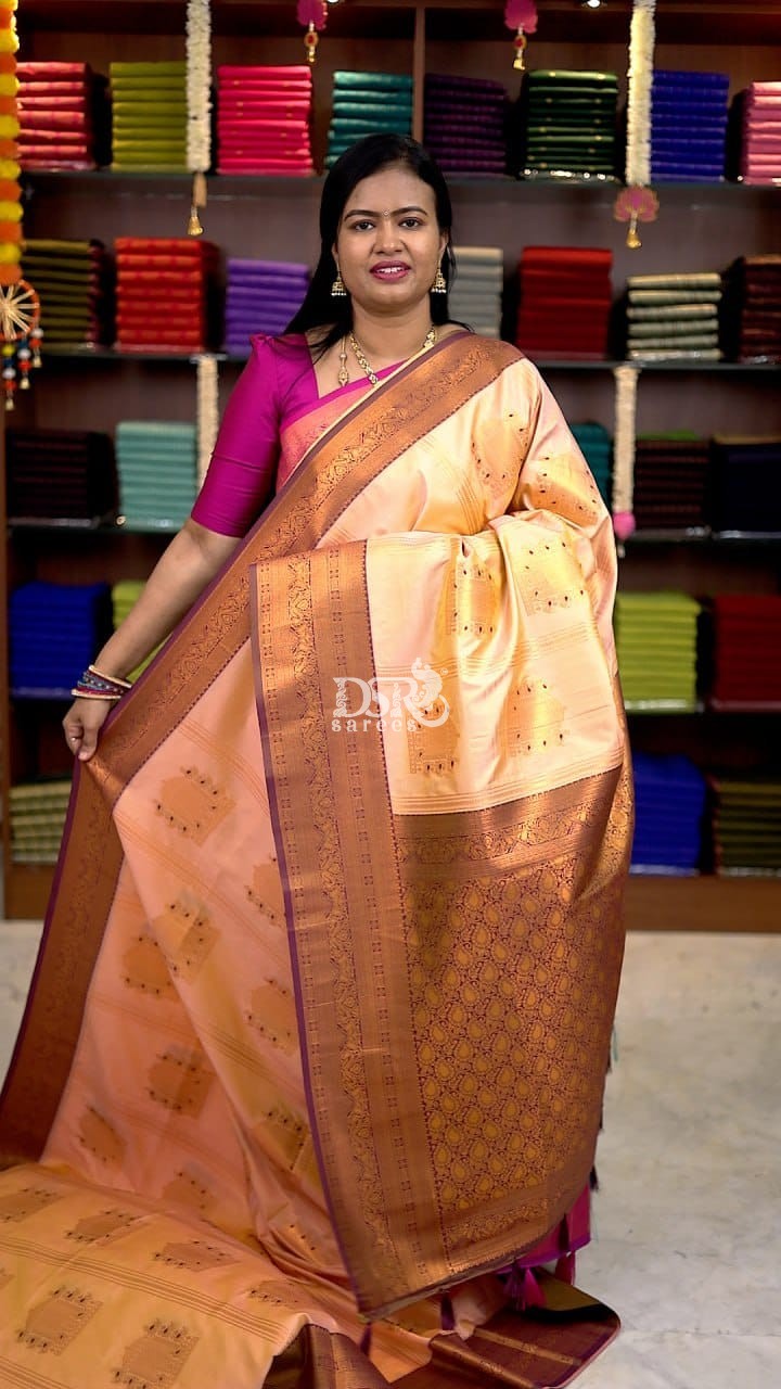 Premium Kanchi Korvai Border Saree