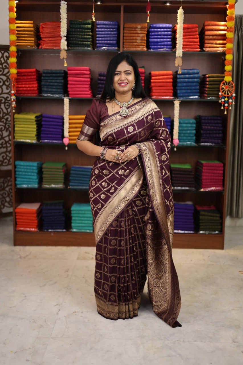 Banarasi Georgette Saree-vol1