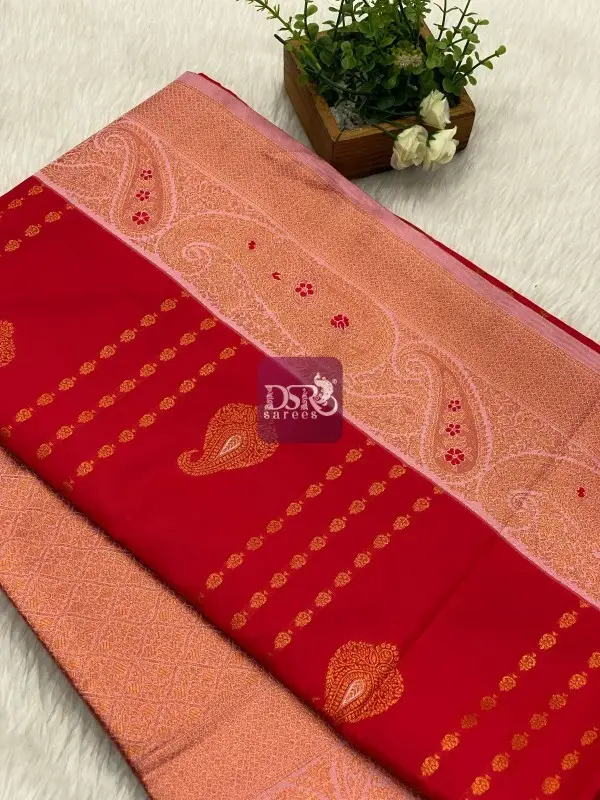 Premium Kanchi Korvai Border Saree