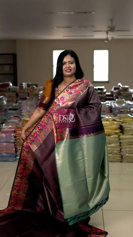 Premium Kanchi Sarees -vol1