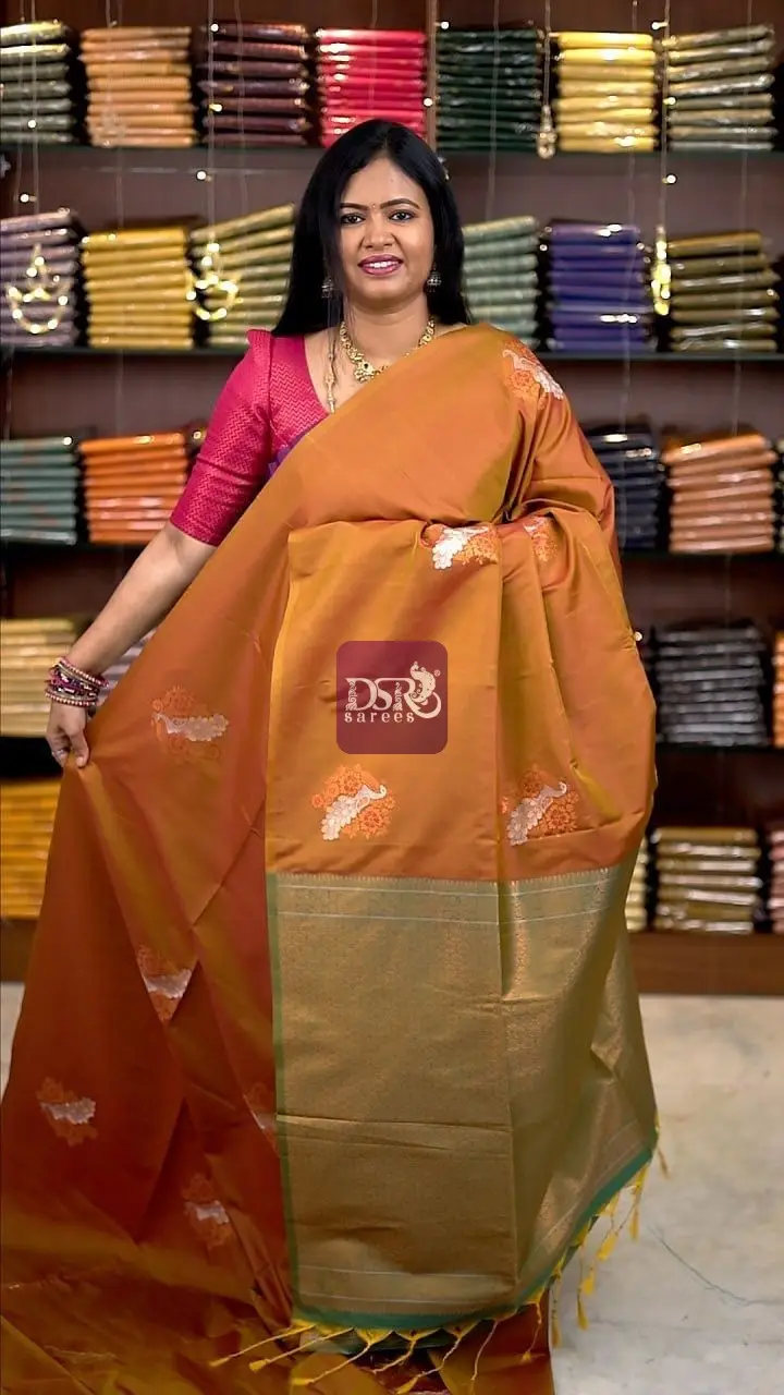 Borderless Luxury Silk sarees