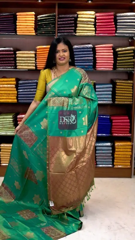 Pochampally Luxury Silk Saree
