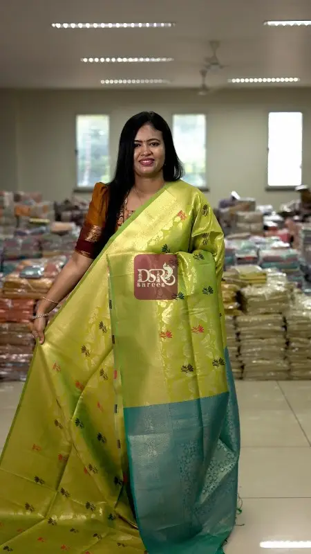 Premium Kanchi Sarees -vol1