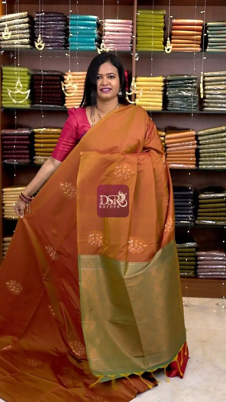 Borderless Luxury Silk sarees
