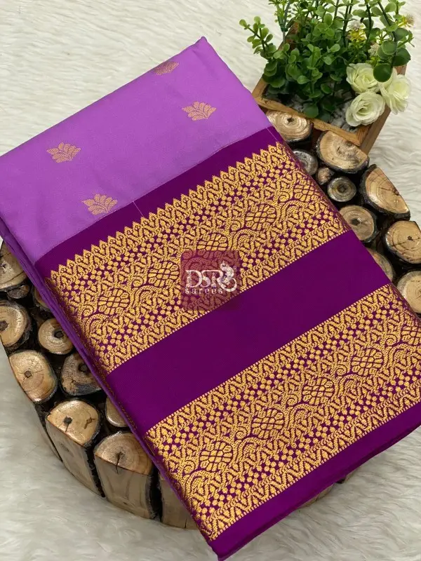 Premium Kanchi Korvai Border Saree- vol3
