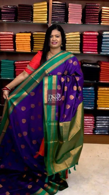 Premium Kanchi Korvai Border -VOL6