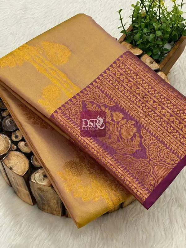 Premium Kanchi Korvai Border Saree