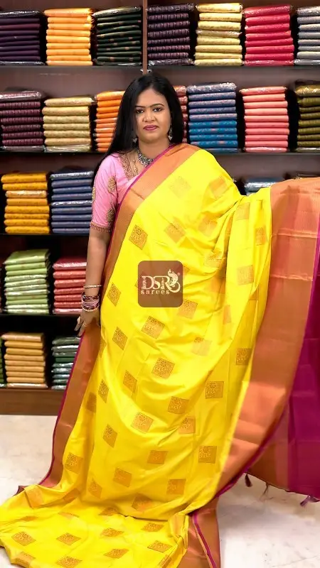 Premium Kanchi Korvai Border -VOL5