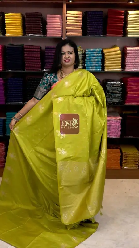Premium Kanchi Korvai Border -VOL7