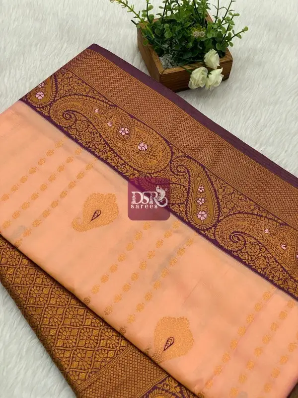 Premium Kanchi Korvai Border Saree