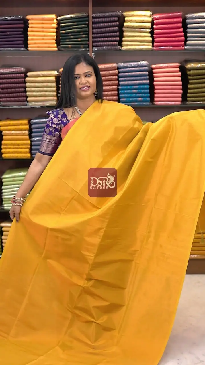 Premium Kanchi Tissue Sarees