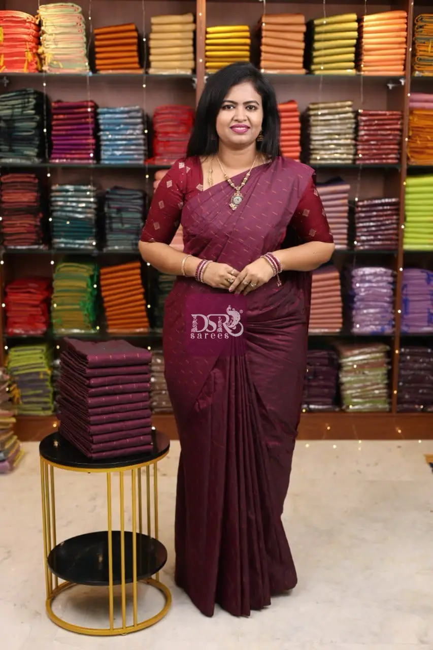 Arani Vairaooshi Saree