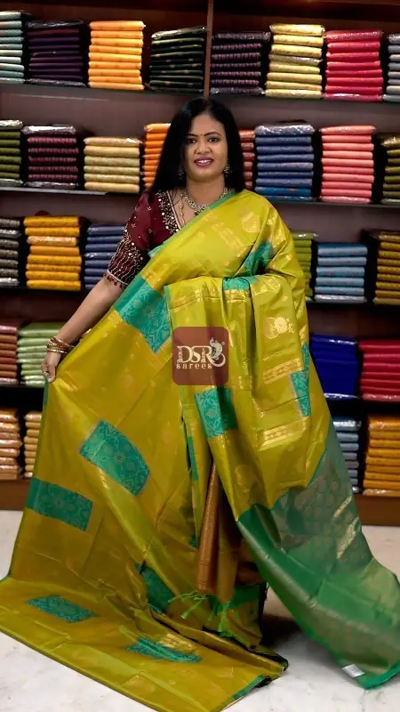 Pochampally Luxury Silk Saree
