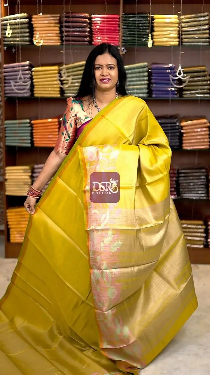 Linen Tissue Saree