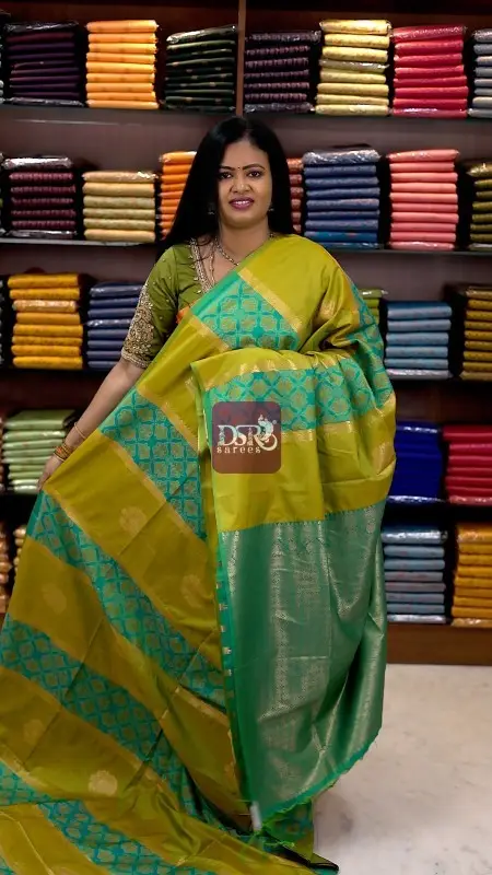 Pochampally Luxury Silk Saree
