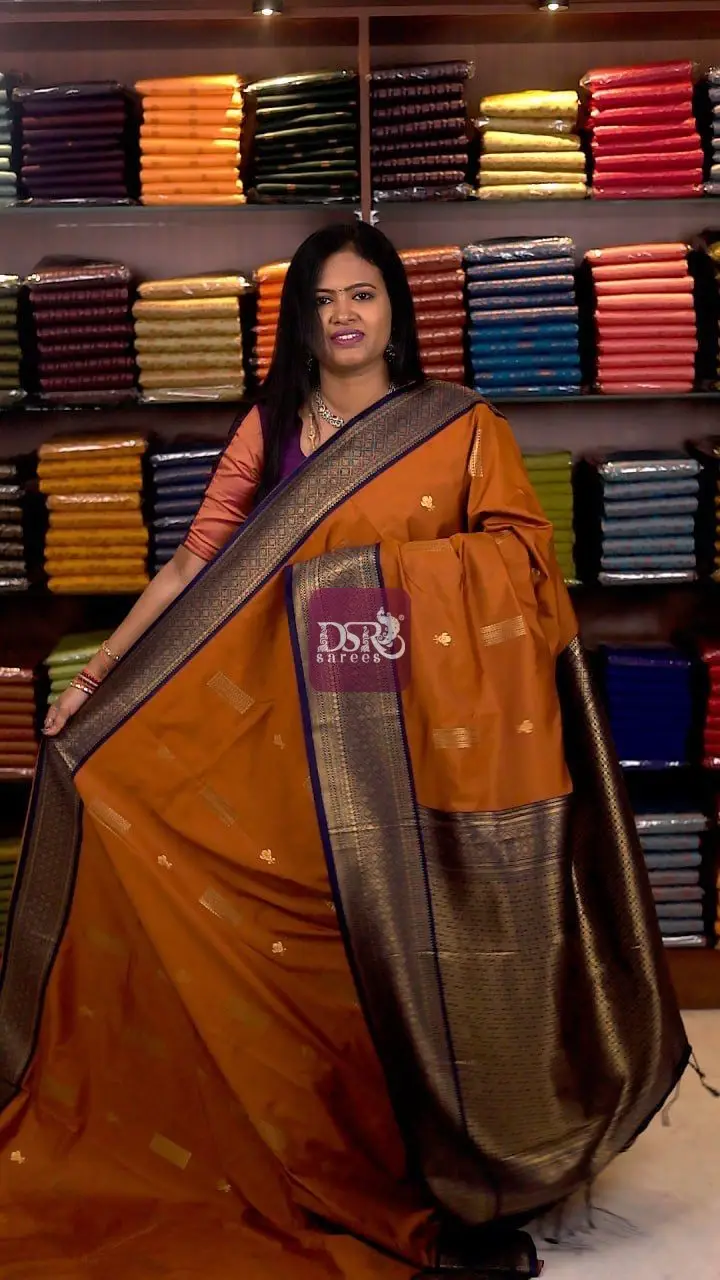 Premium Kanchi Bridal sarees - vol1