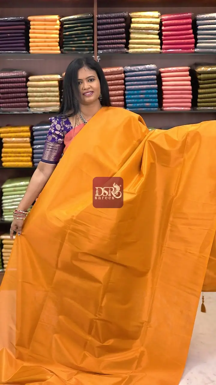 Premium Kanchi Tissue Sarees
